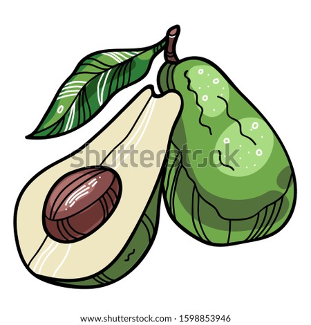 Two isolated vector avocados with a seed and a leaf