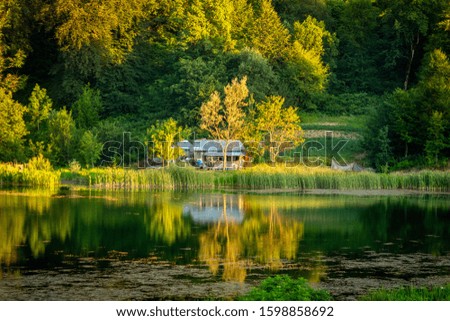 green and yellow nature view with lake