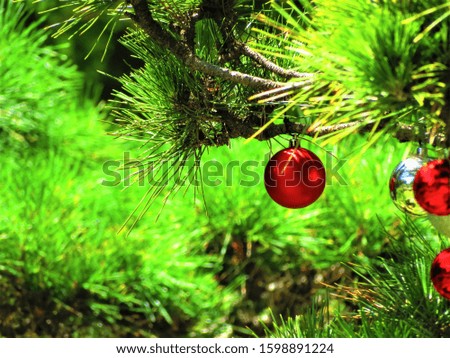 Tree branch with christmas decorations, decorative colourful balls.