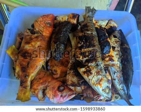 grilled fish in box simple picture art