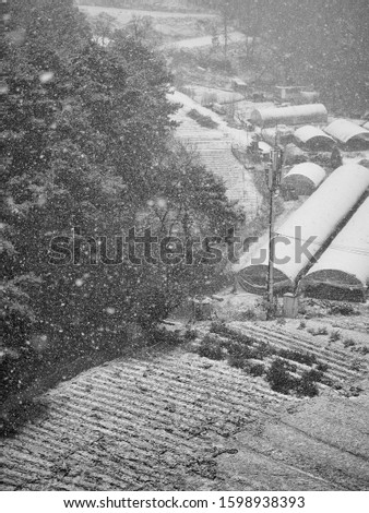 Snowy winter rural landscape in Korea, Monochrome photography