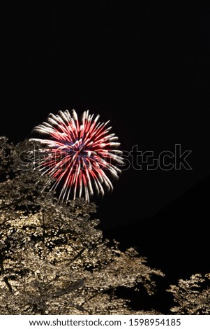 It is fireworks and cherry blossoms that were washed up in the night sky.
