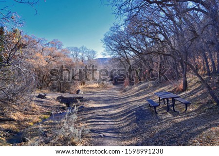 Hiking Trails in Oquirrh, Wasatch, Rocky Mountains in Utah Late Fall with leaves. Backpacking, biking, horseback through trees in the Yellow Fork and Rose Canyon by Salt Lake City. United States of Am