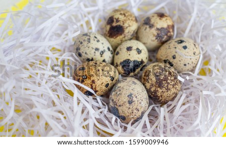 Easter flat lay with quail eggs in nest of paper strips on yellow bakground. Top view