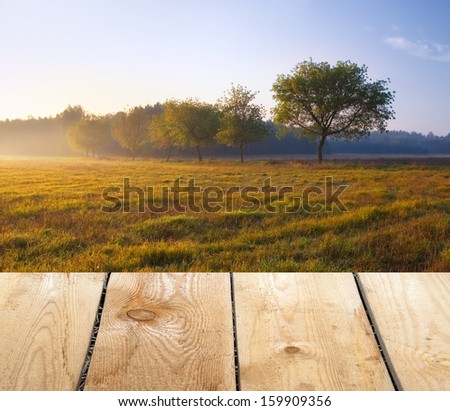 misty summer sunrise over meadow with wood floor