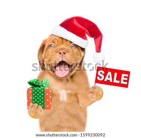 Happy puppy  wearing a red christmas hat holds sales symbol and gift box. isolated on white background