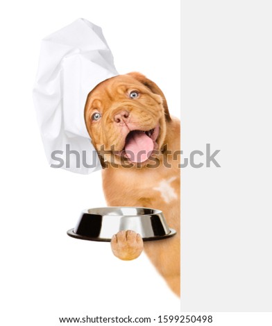 Funny dog wearing a chef's hat holds empty bowl behind empty banner. isolated on white background