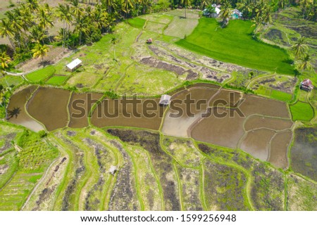 Rice Terraces, Lombok Island Indonesia. Aerial shot.