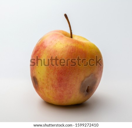 wormy rotten Apple on a white background Royalty-Free Stock Photo #1599272410