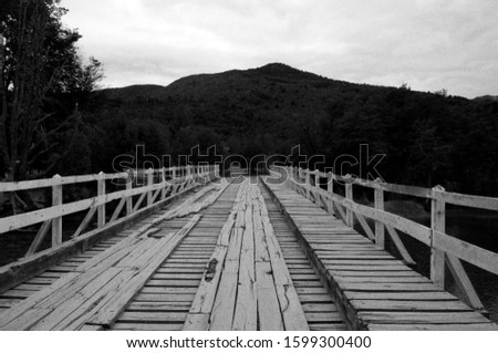 Wooden bridge in the forest. Black and white photo. 