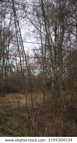Big moor and Hiller moor or Nettelstedter Moor is a moor in north of Nordrhein-Westfalens in the city Lübbecke and Hille