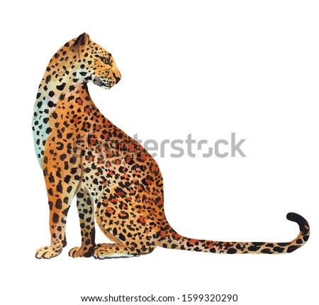 
Hand drawn leopard isolated on white background. Stock illustration drawn by gouache with a wild cat