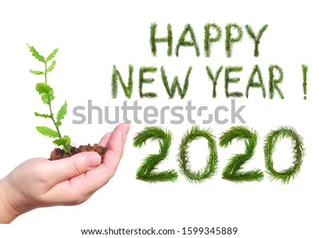 2020 New Year. Two thousand twenty. Woman hand, holding a green young seedling of tree. Congratulation  words Happy New Year. All numbers and words are made of a pine tree branches.  Isolated on white