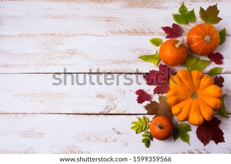 Thanksgiving rustic decor with pumpkins, red and green fall leaves on the white painted wooden table, copy space