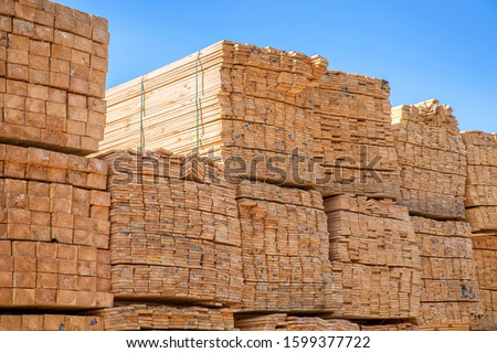 Timber stacked at the port site