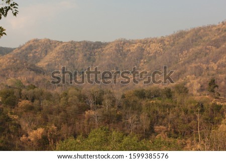 Landscape of mountain in Petchaboon province,Thailand, Selective focus.