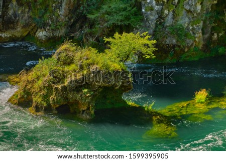 Tree on the rock  above Una canyon with waterfalls Strbacki buk in National Park Una near Kulen Vakuf, Bosnia and Herzegovina