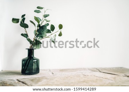 Green tree Branch putted into black glass vase on the natural stone mantel shelf on the white color wall background lit with side window light. Cozy home decor elements concept image.
