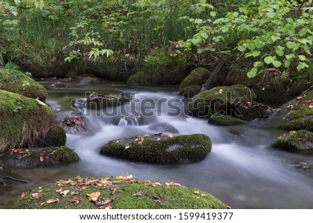 Oirase River flow passing rocks covered with green moss, the forest at Oirase Valley, Towada Hachimantai National Park, Aomori Prefecture, Japan.