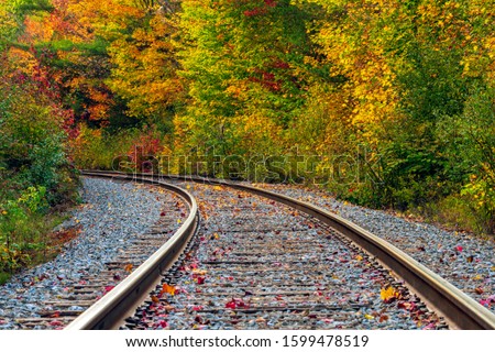 Curved train tracks leading into the forest in early autumn.