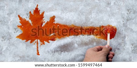 Maple taffy leaf or boiled tree sweet boiled sap syrup on snow as a traditional spring food culture from Quebec Ontario Canada and New England produced in a sugar shack. Royalty-Free Stock Photo #1599497464
