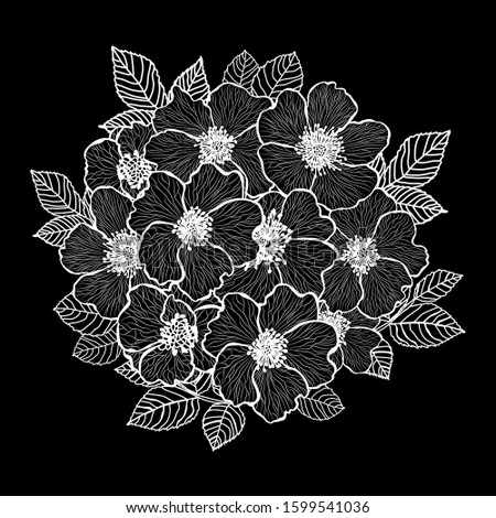 Decorative hand drawn dog rose flowers, design elements. Can be used for cards, invitations, banners, posters, print design. Floral background in line art style