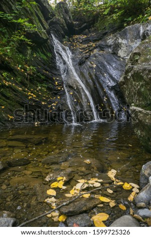 forest waterfall and rocks covered with moss and yellow leaves
