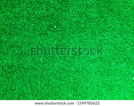 Beautiful green grass texture use as natural background for design in outdoor