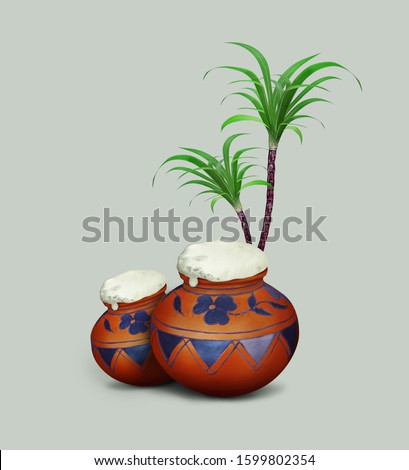 Pongal traditional mud pot and Sugarcane for Indian harvest festival Pongal