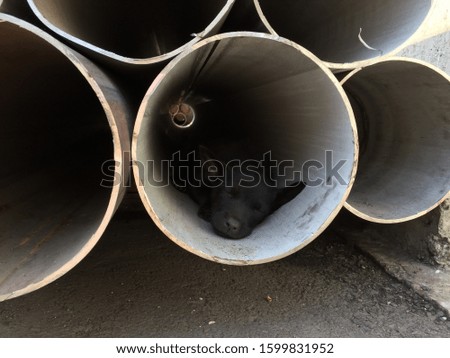 Black puppy sleeping inside steel scrap pipe.