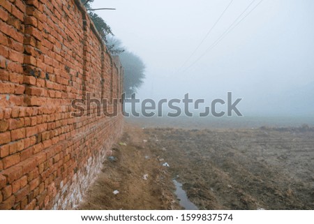 beautiful foggy season in a village of punjab,Pakistan.extremely cold weather in punjab,Pakistan.