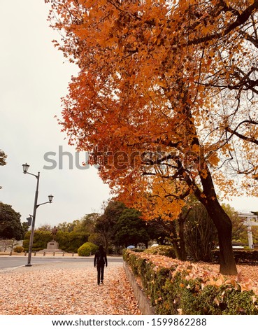 A girl in black walked alone on falling leaves on footpath Royalty-Free Stock Photo #1599862288