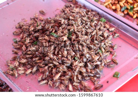 Fried insects, food and snacks of Asian people. With fried crickets Fried insect larvae And the pupa of the silk butterfly