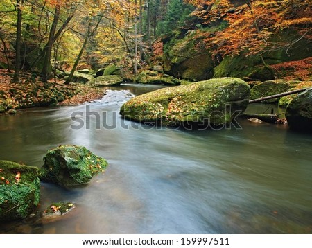 View into autumn mountain river with blurred waves,, fresh green mossy stones and boulders on river bank covered with colorful leaves from maples, beeches or aspens tree. 