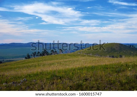 Green steppes and hills on a summer day.