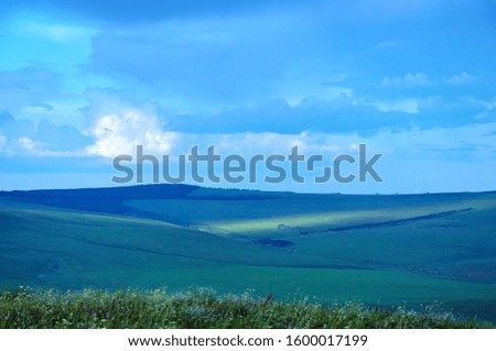 Green steppes and hills covered by forest on a summer day.