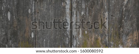 Grunge grey texture of old wooden obsolete wall.  Background.  Space for text. 