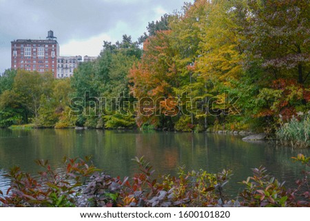 New York, NY, USA: Fall foliage at The Pool, in the northwest section of Central Park.