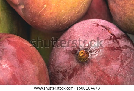 Photo of a group of mango fruits. Fruta, Manga, Mangas.
