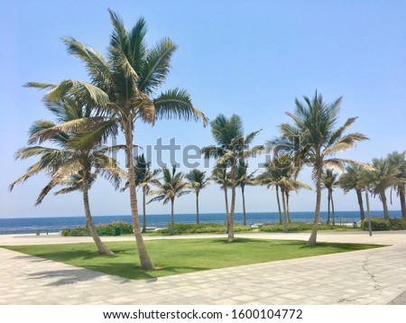 Palm trees in the wind during a sunny day. The blue sky is wonderful. Picture taken during summer holidays.