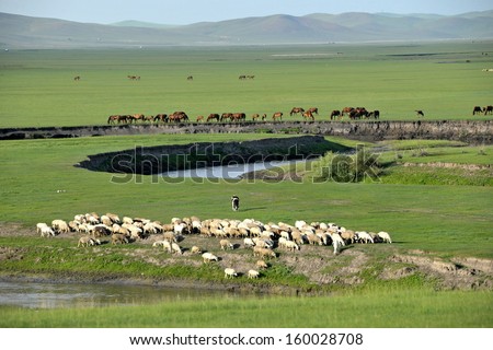 Inner Mongolia Hulunbeier "China's first Qushui" mergel River Golden Horde Khan Mongolian steppe tribes sheep, horses, cattle; Royalty-Free Stock Photo #160028708