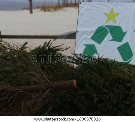 CHRISTMAS TREE RECYCLE SIGN AND TREES