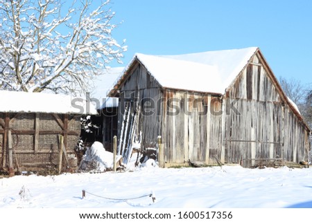 Barn in the snow. Idyllic scene of rural country barn, Croatia.