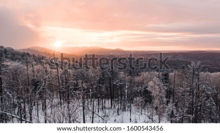 Aerial image from the top of snowy mountain pines in the middle of the winter