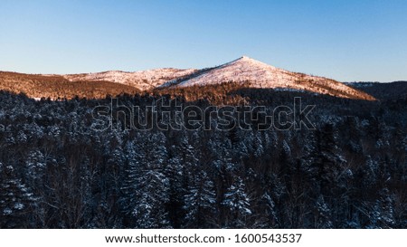 Aerial image from the top of snowy mountain pines in the middle of the winter