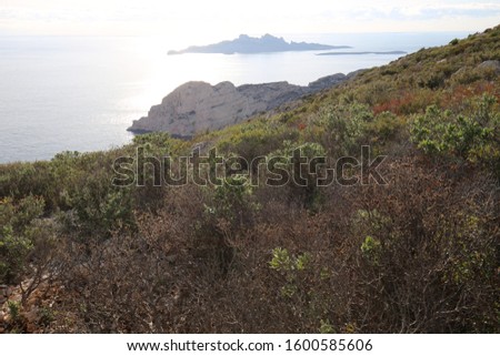 Natural picture of the national park of the calanques of Marseille, Provence region, southern France. November, 20, 2019. Green vegetation, pathways, cliffs and rocks, near the mediterranean sea.