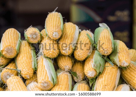 Fresh yellow sweet corn, raw. Close-up. Mahane Yehuda Market, Jerusalem, Israel.