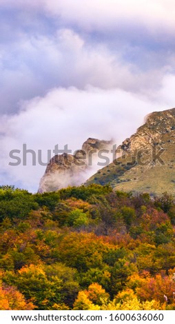 Mountain landscape. Beautiful orange and red trees at the foot of the mountains. Thick clouds hide the top of the rocks. Fog in the autumn forest.