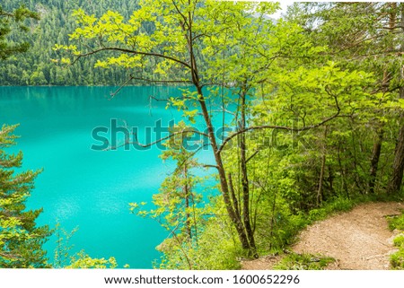 Picture of pretty Weissensee lake in Austria in summer