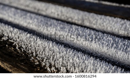 Morning frost on a bench in Germany.
